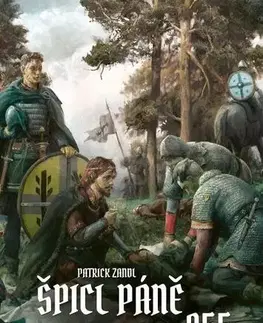 Historické romány Špicl Páně 955 - Zandl Patrick