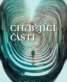 Young adults Chybějící části - Jindřiška Mendozová