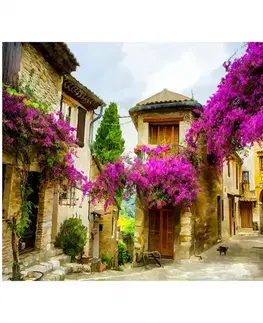 Dekorácie a bytové doplnky Obraz Old Town ST335 60X80