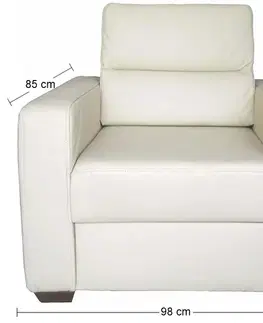 Kreslá PYKA Modern kožené kreslo smotanová (G105)
