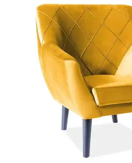 Kreslá Kreslo KIER 1 VELVET Signal