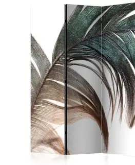 Paravány Paraván Beautiful Feather Dekorhome