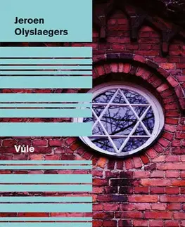 Svetová beletria Vůle - Jeroen Olyslaegers