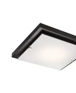 Svietidlá  Stropné svietidlo 1xE27/60W/230V LD PD 7.1