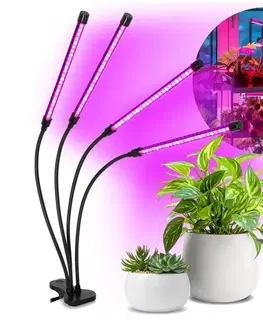 Lampy  LED Stmievateľná lampa s klipom na pestovanie rastlín VITARO 4xLED/10W/230V čierna KDSN00000083