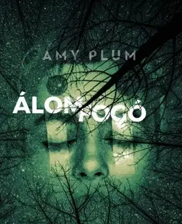 Detektívky, trilery, horory Álomfogó - Amy Plum