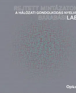 Maliarstvo, grafika Rejtett mintázatok - A hálózati gondolkodás nyelve - BarabásiLab - Albert-László Barabási