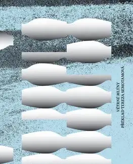 Svetová beletria Všechno udělat správně - Gregor Sander