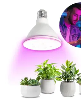 Žiarovky LED Žiarovka na rast rastlín VITABLOOM E27/9W/230V 1200K biela - BRILAGI 004066