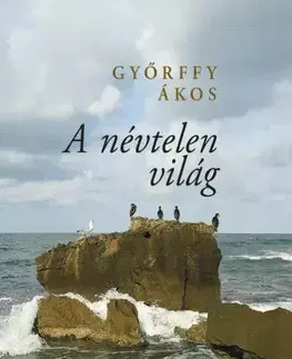 Svetová beletria A névtelen világ - Ákos Győrffy