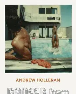 Cudzojazyčná literatúra Dancer from the Dance - Andrew Holleran