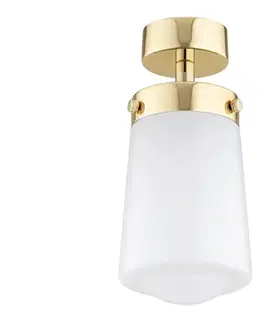 Svietidlá Argon 8005 - Prisadený luster PASADENA 1xE27/15W/230V zlatá/biela 8005