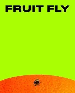 Svetová beletria Fruit Fly - Josh Silver