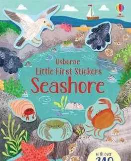 V cudzom jazyku Little First Stickers Seashore - Jessica Greenwell,Stephanie Fizer Coleman