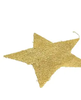Vianočné dekorácie Dekorácie Golden Star 40cm