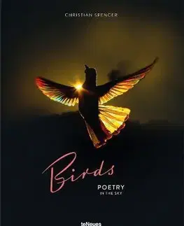 Fotografia Birds - Christian Spencer
