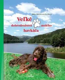 Pre deti a mládež - ostatné Veľké dobrodružstvá malého havkáča - Mária Ševčíková-Vrkoslavová