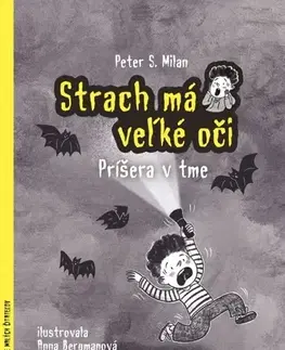 Pre deti a mládež - ostatné Strach má veľké oči - Príšera v tme - Petr Šulc