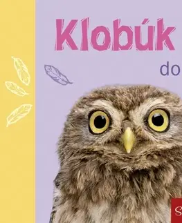 Citáty, výroky, aforizmy, príslovia, porekadlá Klobúk dolu
