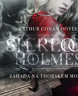 Detektívky, trilery, horory Saga Egmont Záhada na Thorském mostě