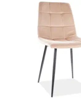 Jedálenské stoličky BIOLA jedálenská stolička, Bluvel 28 / čierna