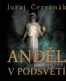 Detektívky, trilery, horory Tympanum Anděl v podsvětí (audiokniha)