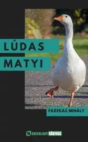 Pre deti a mládež - ostatné Lúdas Matyi - Mihály Fazekas
