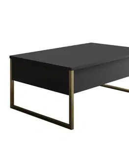 Konferenčné stolíky Konferenčný stolík Luxe Anthracite and Gold