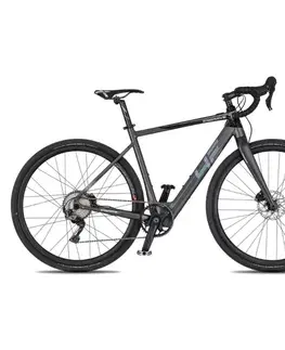 Elektrobicykle 4EVER ENGRAVE PRO 28" titan/hologram - 20,5" (165-180 cm)