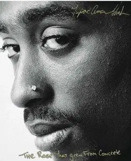 Cudzojazyčná literatúra The Rose that Grew from Concrete - Tupac Shakur