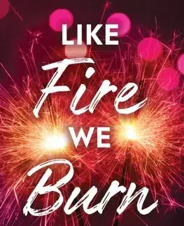 Romantická beletria Like Fire We Burn - Winter Dreams 2 - Ayla Dade