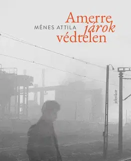 Svetová beletria Amerre járok védtelen - Attila Ménes