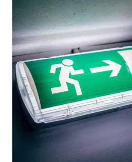 Svietidlá  LED Núdzové svietidlo EMERGENCY EXIT LED/3W/230V 6400K IP65 7687