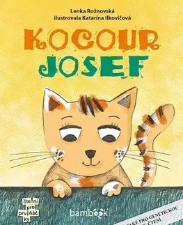 Rozprávky Kocour Josef - Lenka Rožnovská,Katarína Ilkovičová
