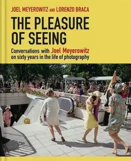 Umenie The Pleasure of Seeing - Joel Meyerowitz,Lorenzo Braca