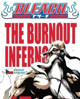 Komiksy Bleach 45: The Burnout Inferno - Kubo Tite,Anna Křivánková