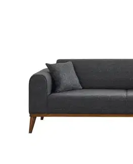 Pohovky a gauče Trojmiestna rozkladacia pohovka Cofi 3 Seater - Anthracite