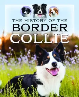 História The History of the Border Collie - Shawn Williamson