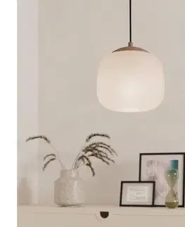 Svietidlá Eglo 900893 - Luster na lanku COMINIO 1xE27/40W/230V 900893