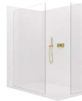 Sprchové dvere CERANO - Sprchová zástena Walk-in Crystal TL/P - 8 mm - bezvzperový systém - zlatá, transparentné sklo - 160x120x200 CER-8050BD5638