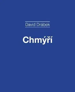 Divadlo - teória, história,... Chmýří - David Drábek