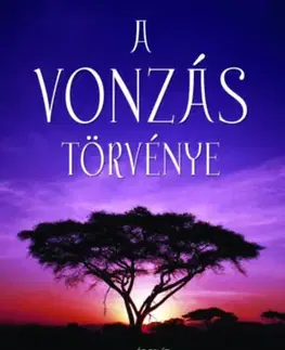 Ezoterika - ostatné A vonzás törvénye - Esther Hicks,Jerry Hicks