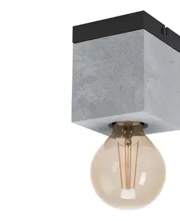 Svietidlá Eglo 43595 - Stropné svietidlo PRESTWICK 1xE27/40W/230V 43595