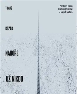 Česká beletria Nahoře už nikdo není - Tomáš Kozák