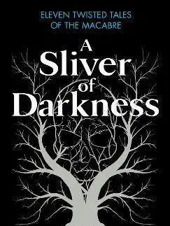 Detektívky, trilery, horory A Sliver of Darkness - C. J. Tudorová
