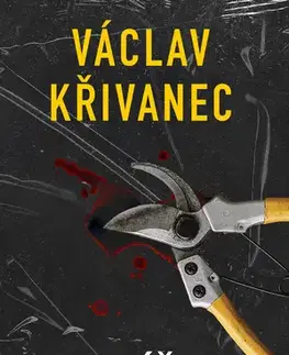 Detektívky, trilery, horory Malíček - Václav Křivanec