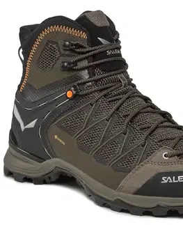 Vysoká outdoor obuv Salewa MTN Trainer Lite Mid GTX Veľkosť: 42 EUR