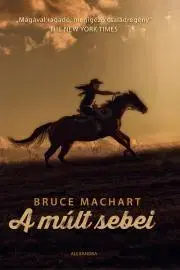 Svetová beletria A múlt sebei - Bruce Machart