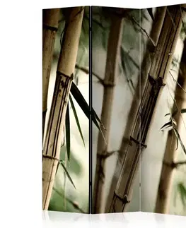 Paravány Paraván Fog and bamboo forest Dekorhome