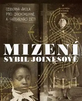 Detektívky, trilery, horory Mizení Sybil Joinesové - Shelley Jacksonová